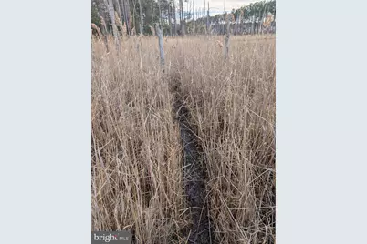 2775 Toddville Road, Toddville, MD 21672 - Photo 20