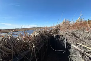 2775 Toddville Rd, Toddville, MD 21672 - Photo 18