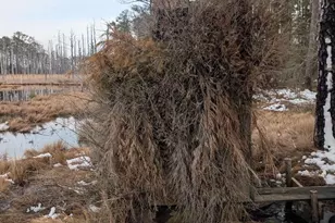 2775 Toddville Rd, Toddville, MD 21672 - Photo 16