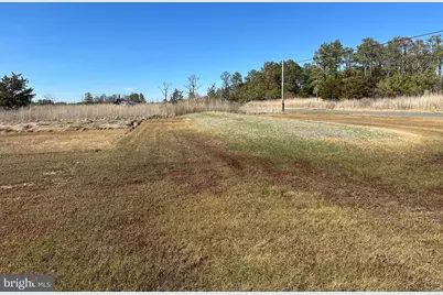 2775 Toddville Road, Toddville, MD 21672 - Photo 6