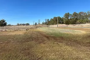 2775 Toddville Rd, Toddville, MD 21672 - Photo 6