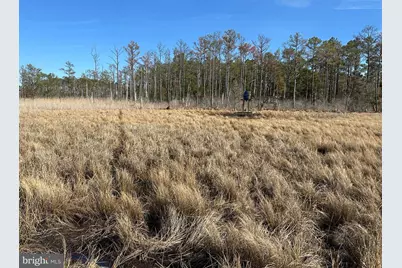 2775 Toddville Road, Toddville, MD 21672 - Photo 28
