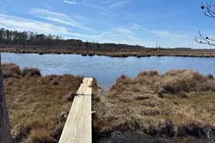 2775 Toddville Rd, Toddville, MD 21672 - Photo 10