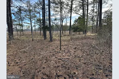 2775 Toddville Road, Toddville, MD 21672 - Photo 42