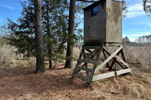 2775 Toddville Rd, Toddville, MD 21672 - Photo 40