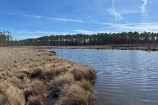 2775 Toddville Rd, Toddville, MD 21672 - Photo 12