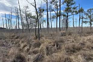 2775 Toddville Rd, Toddville, MD 21672 - Photo 44