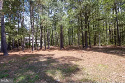 5951 Ross Neck Road, Cambridge, MD 21613 - Photo 50