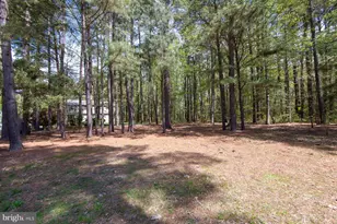 5951 Ross Neck Rd, Cambridge, MD 21613 - Photo 50