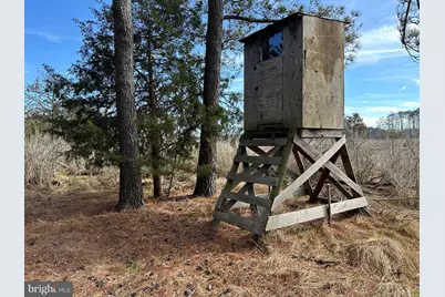 2775 Toddville Road, Toddville, MD 21672 - Photo 40