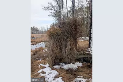 2775 Toddville Road, Toddville, MD 21672 - Photo 16