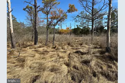 2775 Toddville Road, Toddville, MD 21672 - Photo 32