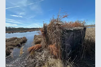 2775 Toddville Road, Toddville, MD 21672 - Photo 14