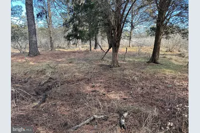 2775 Toddville Road, Toddville, MD 21672 - Photo 38