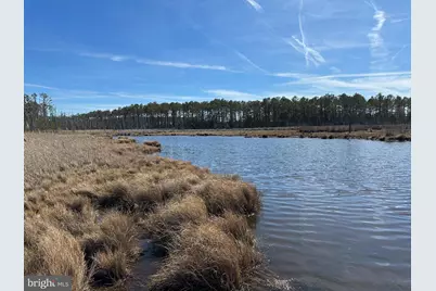 2775 Toddville Road, Toddville, MD 21672 - Photo 12