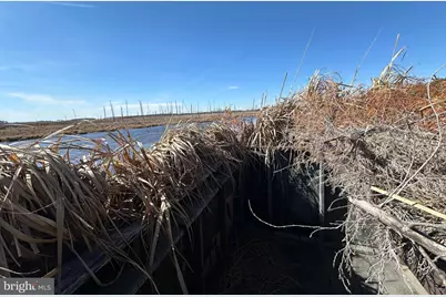 2775 Toddville Road, Toddville, MD 21672 - Photo 18