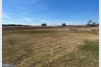 2775 Toddville Road, Toddville, MD 21672 - Photo 8