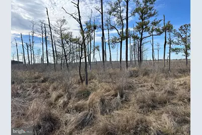 2775 Toddville Road, Toddville, MD 21672 - Photo 44