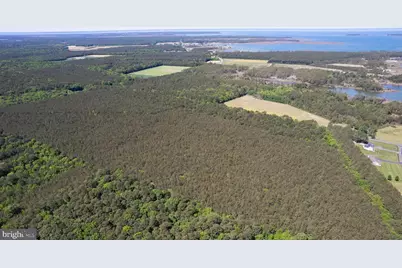 Taylors Island Rd, Woolford, MD 21677 - Photo 6