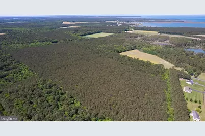 Taylors Island Rd, Woolford, MD 21677 - Photo 8