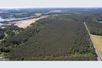 Taylors Island Rd, Woolford, MD 21677 - Photo 10