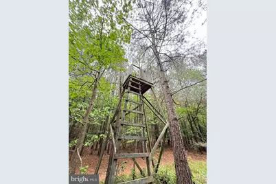 Taylors Island Rd, Woolford, MD 21677 - Photo 16