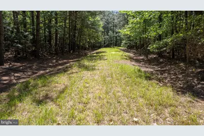 Taylors Island Rd, Woolford, MD 21677 - Photo 18