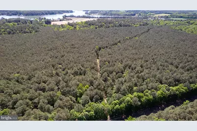 Taylors Island Rd, Woolford, MD 21677 - Photo 14