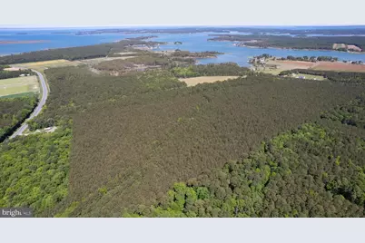 Taylors Island Rd, Woolford, MD 21677 - Photo 4