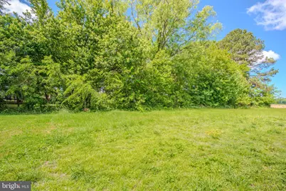 302 Church Street, Vienna, MD 21869 - Photo 24