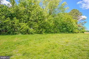 302 Church St, Vienna, MD 21869 - Photo 24