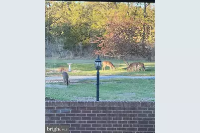1661 Town Point Road, Cambridge, MD 21613 - Photo 86