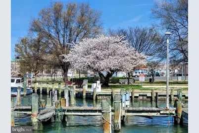 700 Cattail Cove #104, Cambridge, MD 21613 - Photo 2