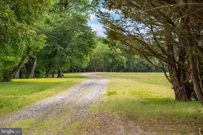 5113 River Road, Hurlock, MD 21643 - Photo 6
