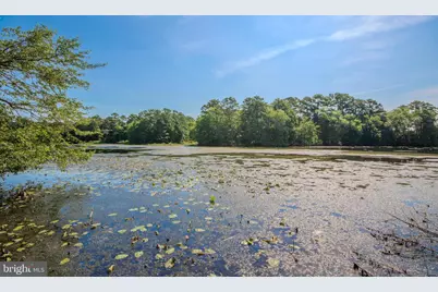 5715 Galestown Newhart Mill Road, Galestown, MD 21659 - Photo 50