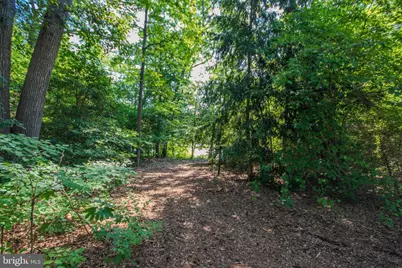 5715 Galestown Newhart Mill Road, Galestown, MD 21659 - Photo 48