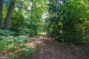 5715 Galestown Newhart Mill Rd, Galestown, MD 21659 - Photo 48