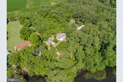 5715 Galestown Newhart Mill Road, Galestown, MD 21659 - Photo 58