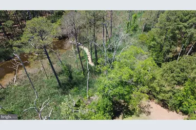 2551 Toddville Road, Toddville, MD 21672 - Photo 22