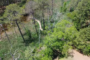 2551 Toddville Rd, Toddville, MD 21672 - Photo 22