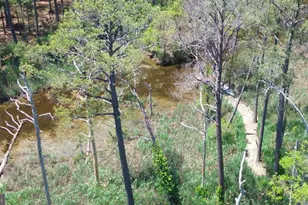 2551 Toddville Rd, Toddville, MD 21672 - Photo 20