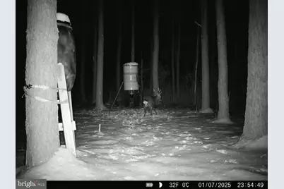 0 Crapo, Church Creek, MD 21622 - Photo 20