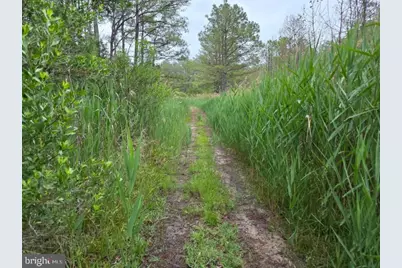 0 Crapo, Church Creek, MD 21622 - Photo 12