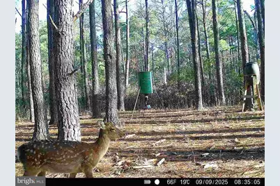 0 Crapo, Church Creek, MD 21622 - Photo 18