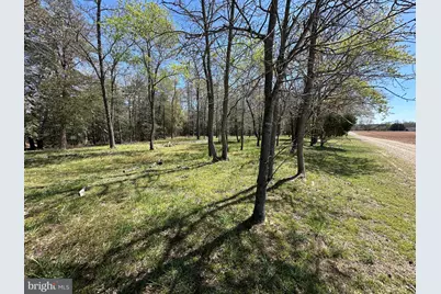 5113 River Road, Hurlock, MD 21643 - Photo 50