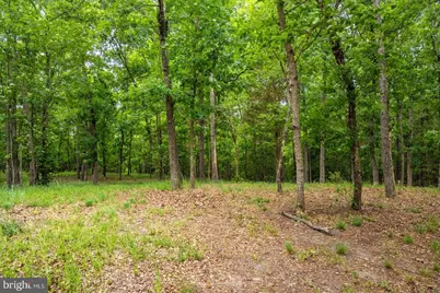 5113 River Road, Hurlock, MD 21643 - Photo 6