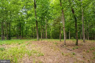 5113 River Rd, Hurlock, MD 21643 - Photo 6