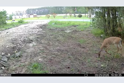 2842 Lakesville Crapo Road, Church Creek, MD 21622 - Photo 50
