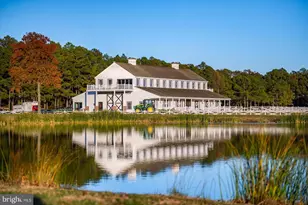 964 Taylors Island Rd, Madison, MD 21648 - Photo 42