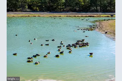 964 Taylors Island Road, Madison, MD 21648 - Photo 2